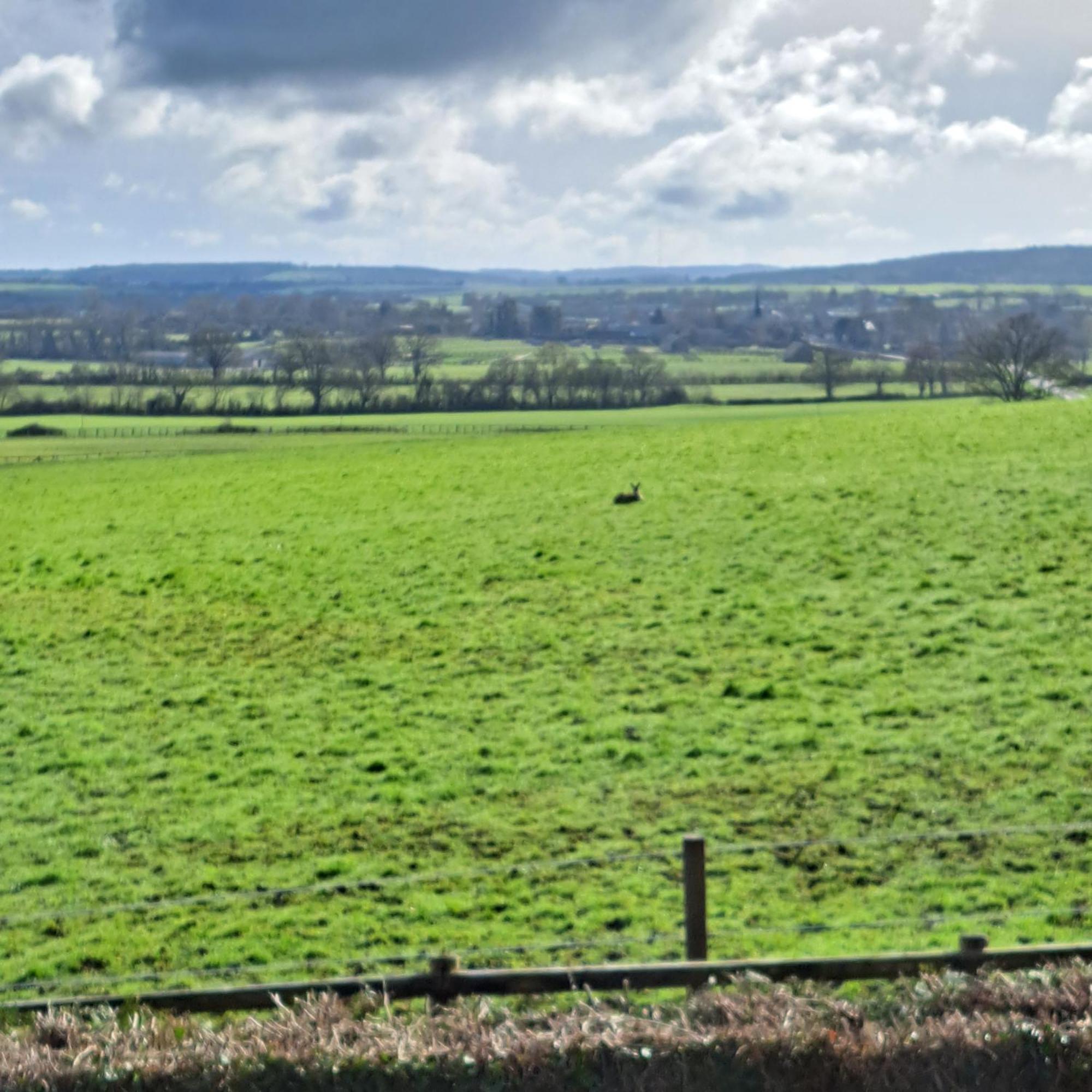 Maison De Charme En Campagne, 5 Min Du Haras Du Pin Nonant-le-Pin 外观 照片